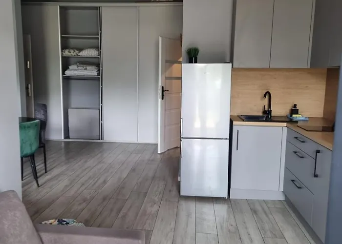 アパート Mieszkanie Ptasia 20 Obok Stadionu I Lotniska Z Darmowym Parkingiem -self Check In *