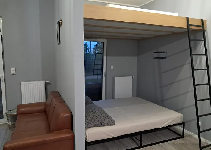 アパート Mieszkanie Ptasia 20 Obok Stadionu I Lotniska Z Darmowym Parkingiem -self Check In