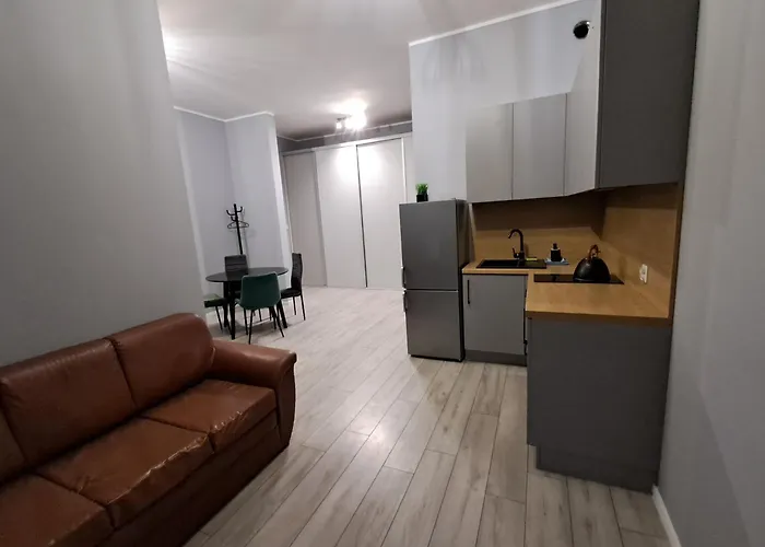 Mieszkanie Ptasia 20 Obok Stadionu I Lotniska Z Darmowym Parkingiem -self Check In * ポズナン